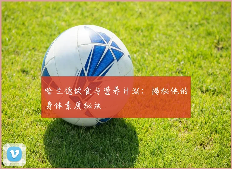 哈兰德饮食与营养计划:揭秘他的身体素质秘诀