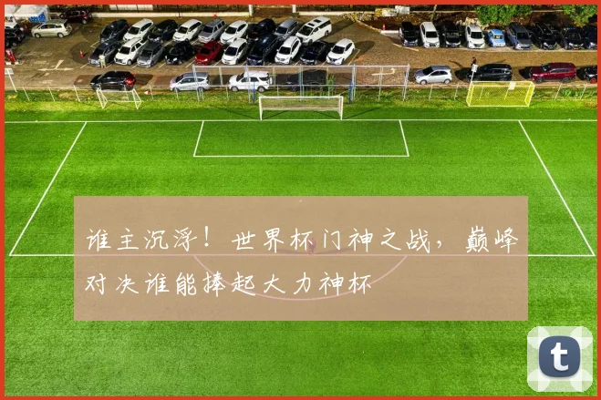 谁主沉浮!世界杯门神之战,巅峰对决谁能捧起大力神杯