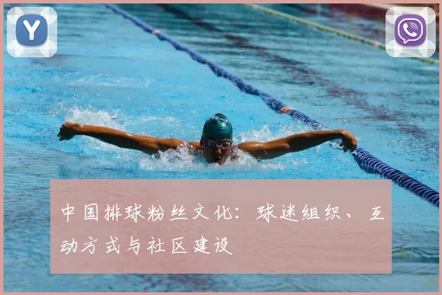 中国排球粉丝文化:球迷组织、互动方式与社区建设