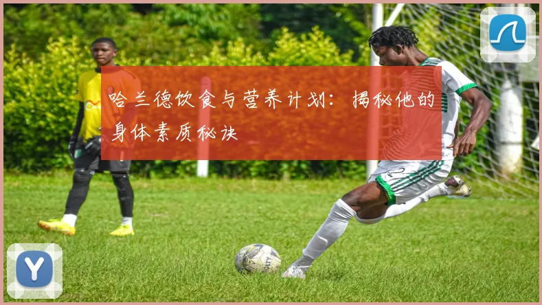 哈兰德饮食与营养计划：揭秘他的身体素质秘诀