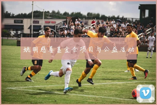 姚明慈善基金会项目与公益活动