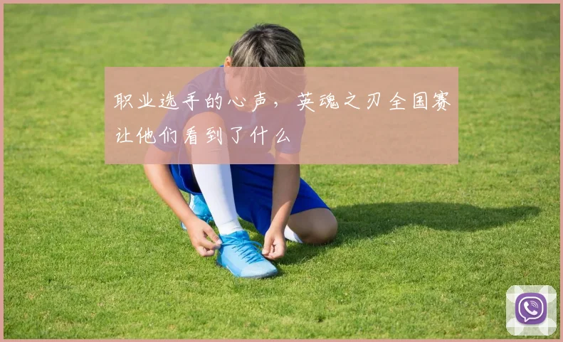 职业选手的心声，英魂之刃全国赛让他们看到了什么